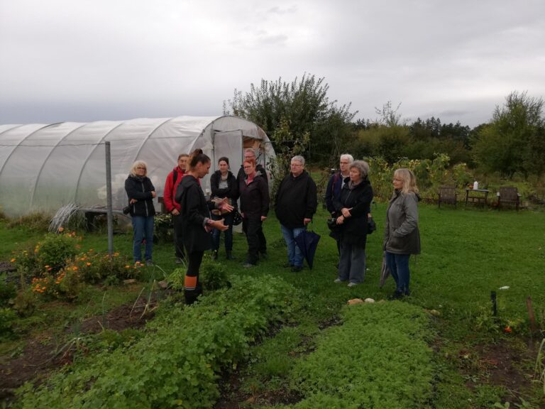 Besuch der Veggie Ranch in Winkelhaid